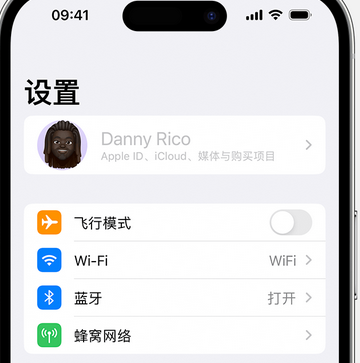 炎陵appleID维修服务iPhone设置中Apple ID显示为灰色无法使用 