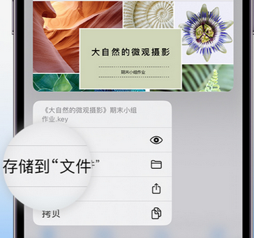 炎陵apple维修中心分享iPhone文件应用中存储和找到下载文件