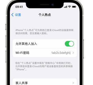 炎陵apple服务站点分享iPhone上个人热点丢失了怎么办 