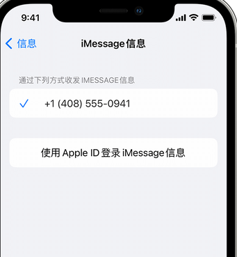 炎陵apple维修iPhone上无法正常发送iMessage信息 