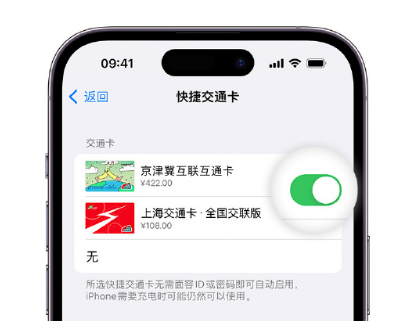 炎陵apple维修点分享iPhone上更换Apple Pay快捷交通卡手绘卡面 