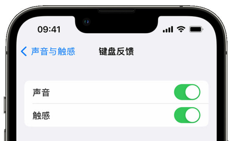 炎陵苹果手机维修分享iPhone 14触感键盘使用方法 