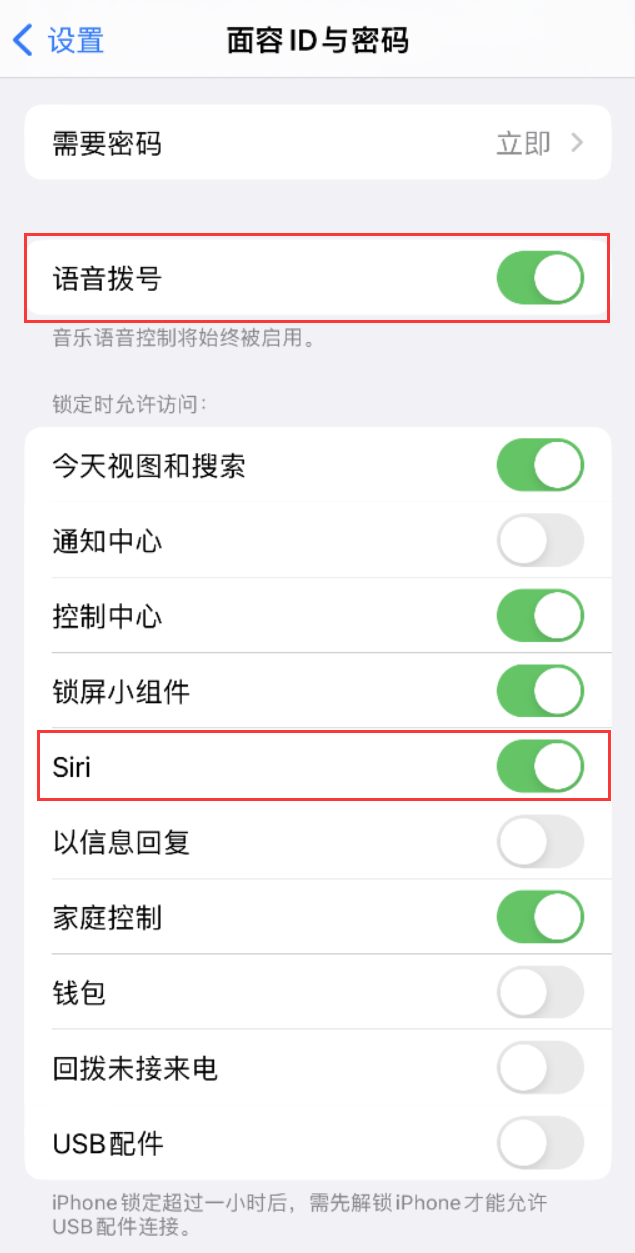 炎陵苹果维修网点分享不解锁 iPhone 的情况下通过 Siri 拨打电话的方法 