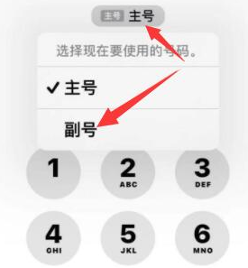 炎陵苹果14维修店分享iPhone 14 Pro Max使用副卡打电话的方法 