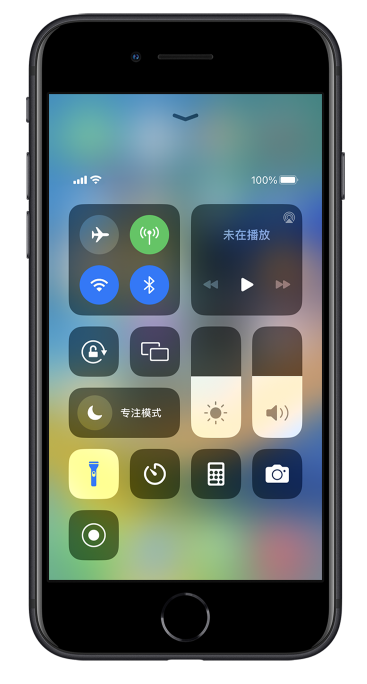 炎陵苹果14维修分享苹果iPhone 14 Pro手电筒开启方法 