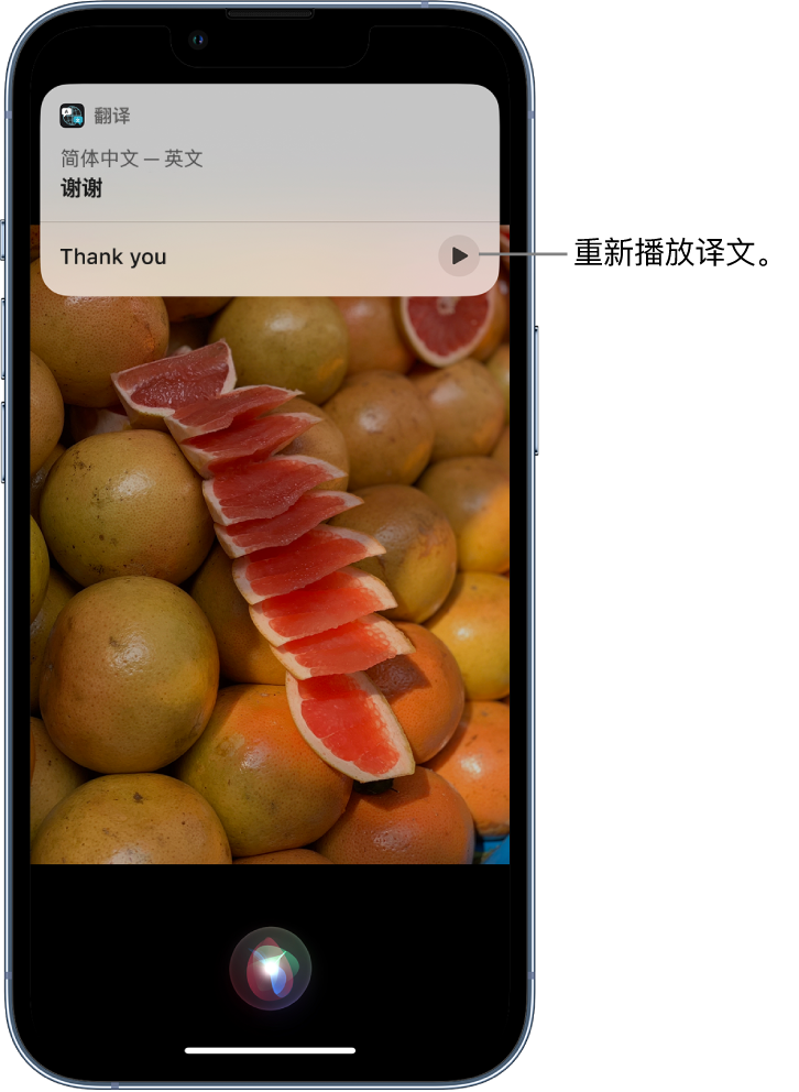 炎陵苹果14维修分享 iPhone 14 机型中使用 Siri：了解 Siri 能帮你做什么 