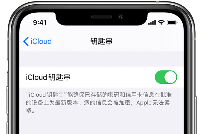 炎陵苹果手机维修分享在 iPhone 上开启 iCloud 钥匙串之后会储存哪些信息 