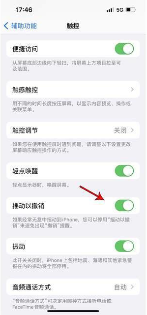 炎陵苹果手机维修分享iPhone手机如何设置摇一摇删除文字 